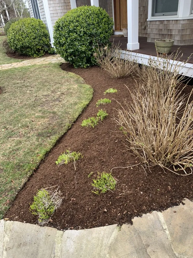 Reliable landscape installation for year-round maintenance across Eastham, MA - Carter's Landscaping