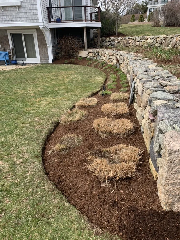 Professional landscape design in Eastham, MA - Carter's Landscaping