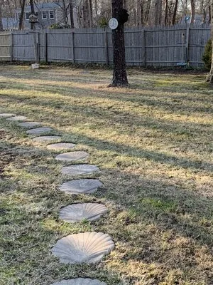 Carter's Landscaping