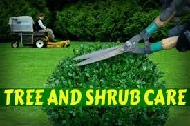 Professional outdoor landscaping experts serving McKinney, TX - Carter's Lawn & Pest Control Service