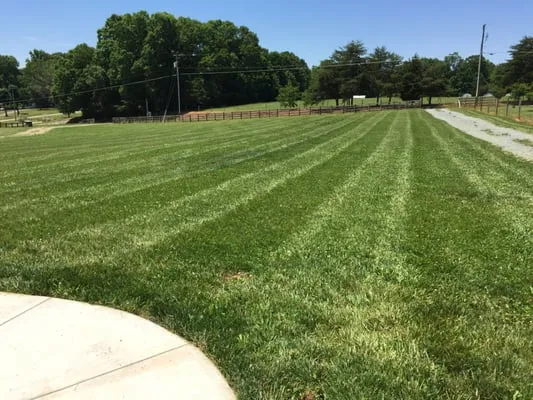 Carter's Lawn Care Logo