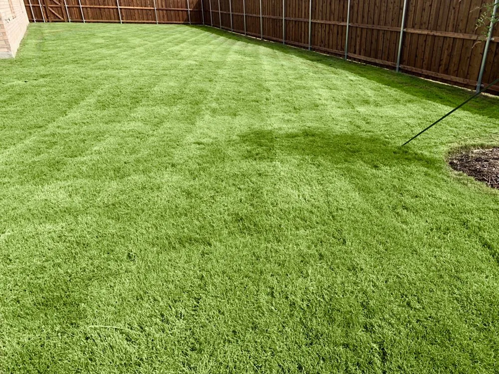 Top-rated landscaping services for homes across Haslet, TX - Carter’s Lawn Care