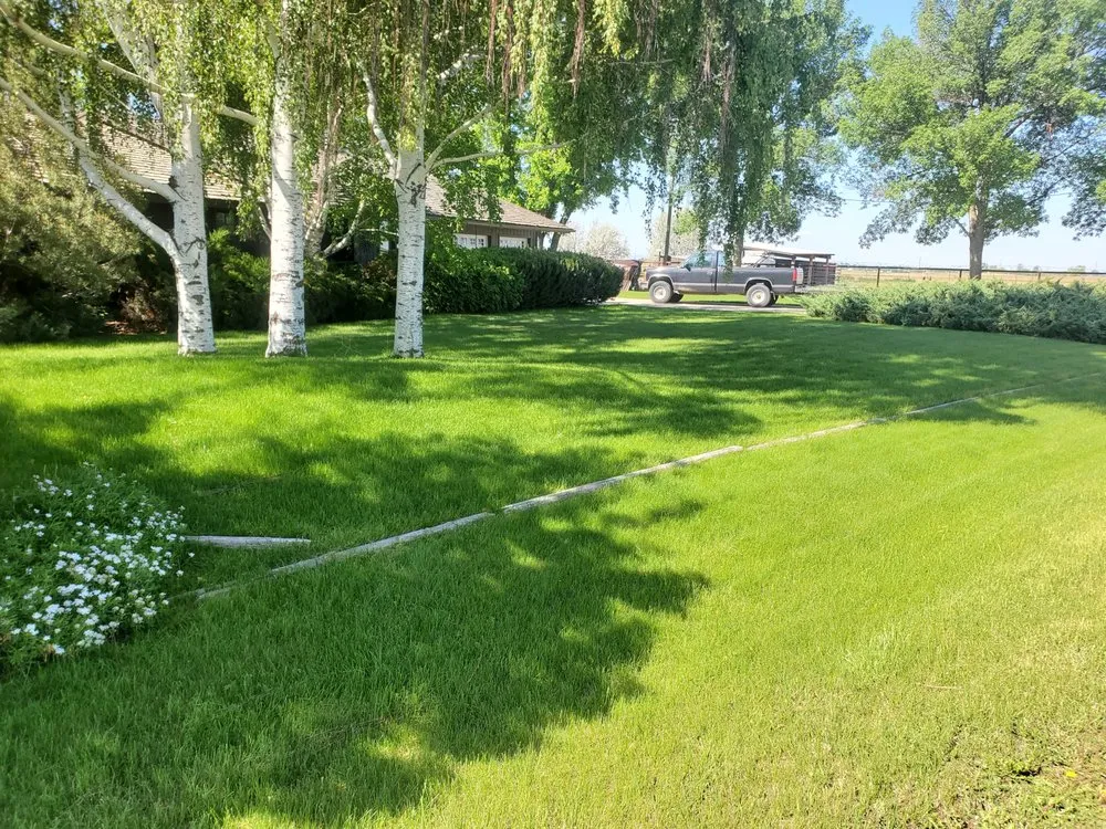 Top-rated lawn mowing service experts serving Jerome, ID - Carter's Lawn Care
