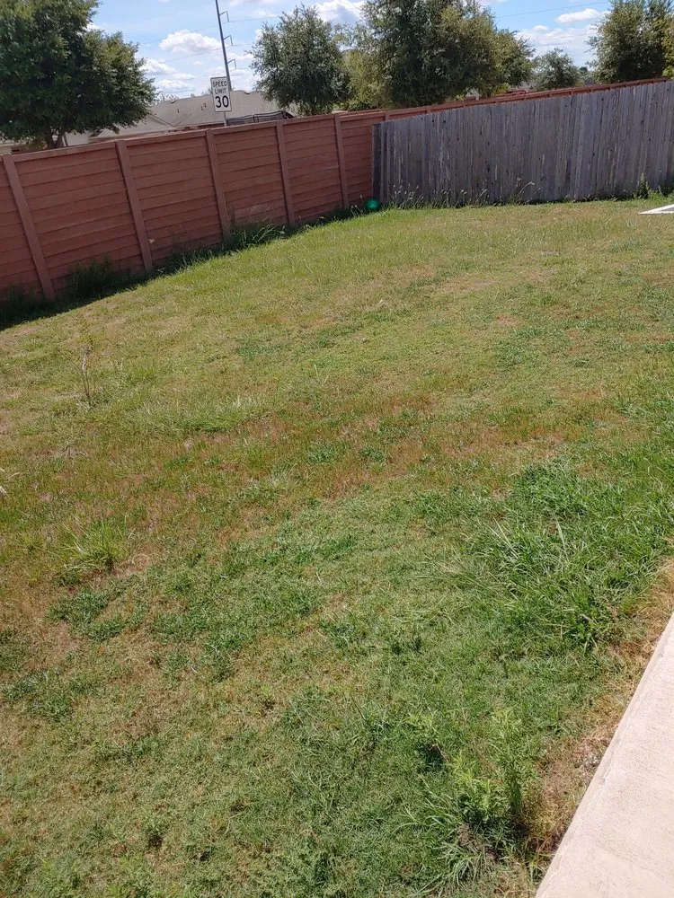 Reliable outdoor landscaping experts serving Manor, TX - Carters Services and Landscape