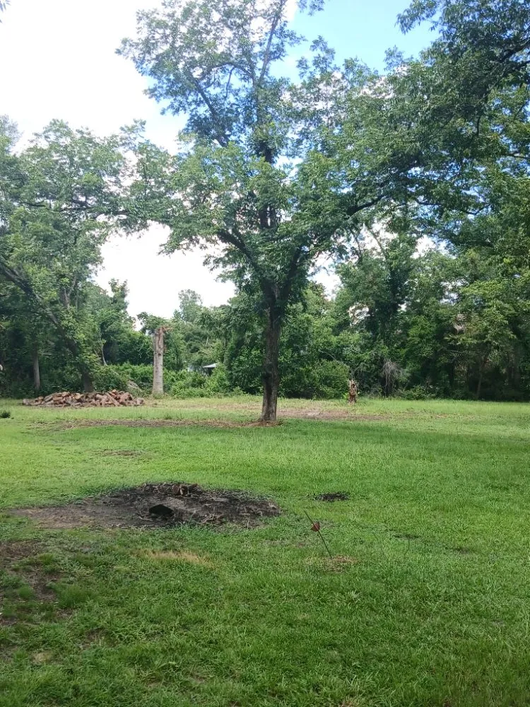 Affordable lawn mowing service in Swainsboro, GA - Carter's Services