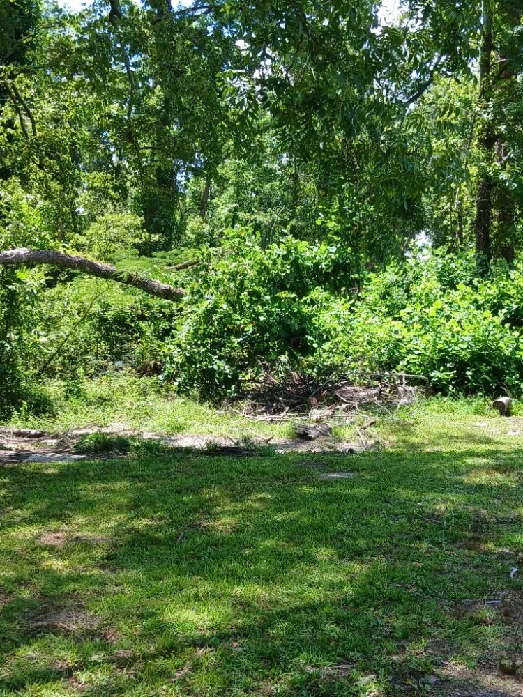 Trusted landscape installation in Swainsboro, GA by Carter's Services