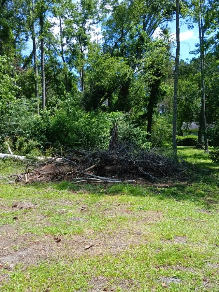 Top-rated landscape installation for outdoor upgrades in Swainsboro, GA by Carter's Services