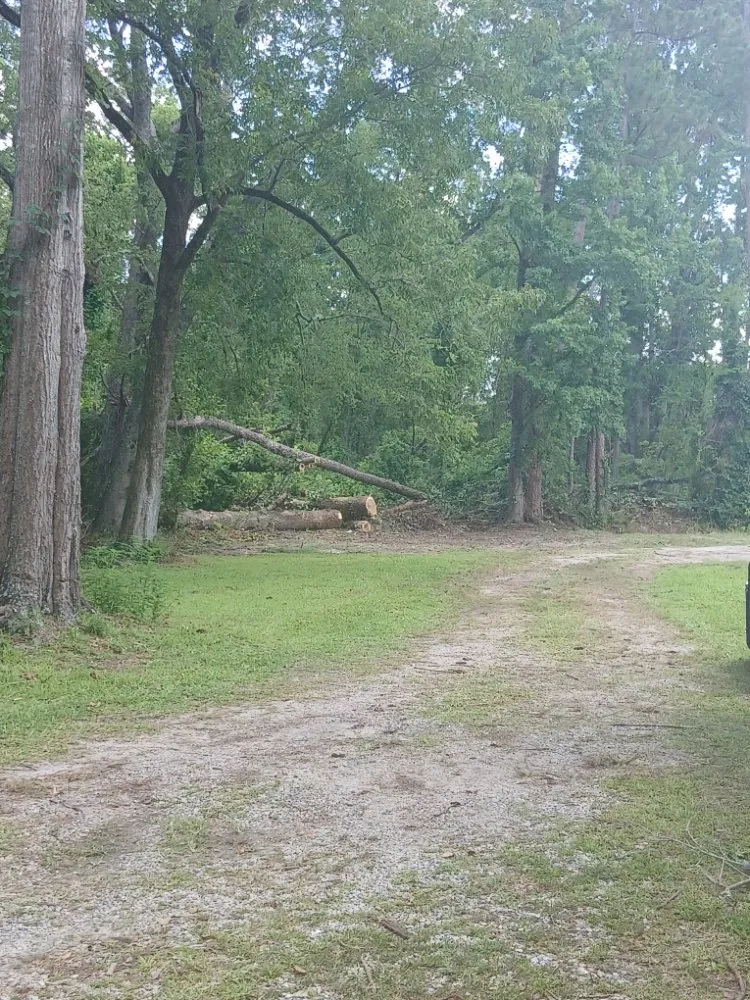Professional yard maintenance in Swainsboro, GA - Carter's Services
