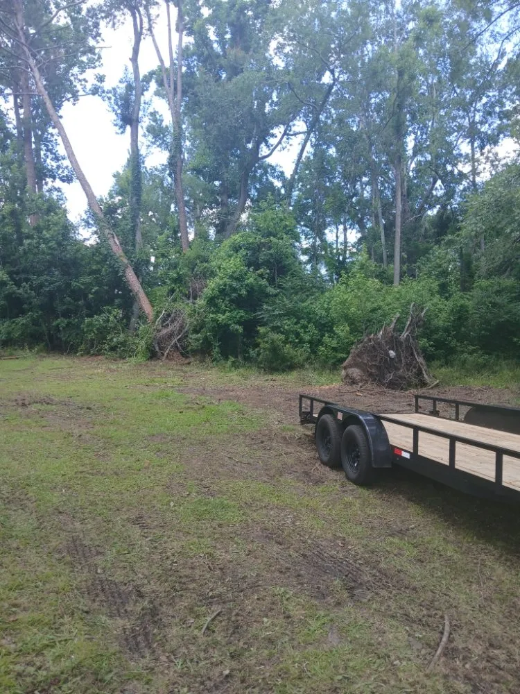 Local residential landscaping near you across Swainsboro, GA - Carter's Services