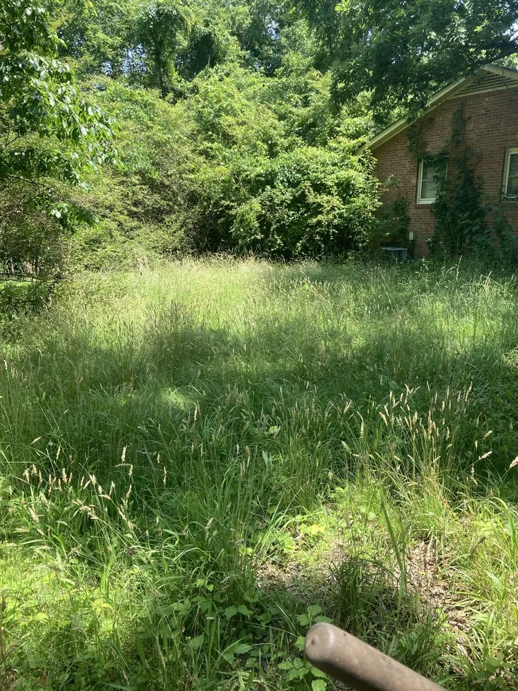 Trusted landscape design experts serving McLeansville, NC - Carter's Yard Maintenance