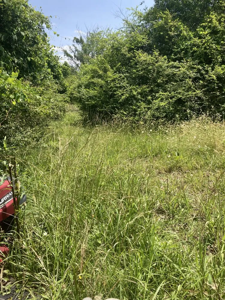 Trusted yard cleanup service for beautiful yards across McLeansville, NC - Carter's Yard Maintenance