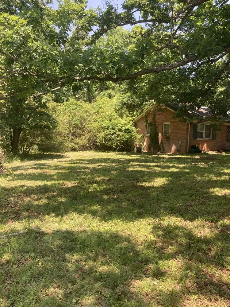 Top-rated yard cleanup service experts serving McLeansville, NC - Carter's Yard Maintenance