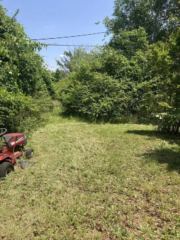 Top-rated lawn mowing service in McLeansville, NC - Carter's Yard Maintenance