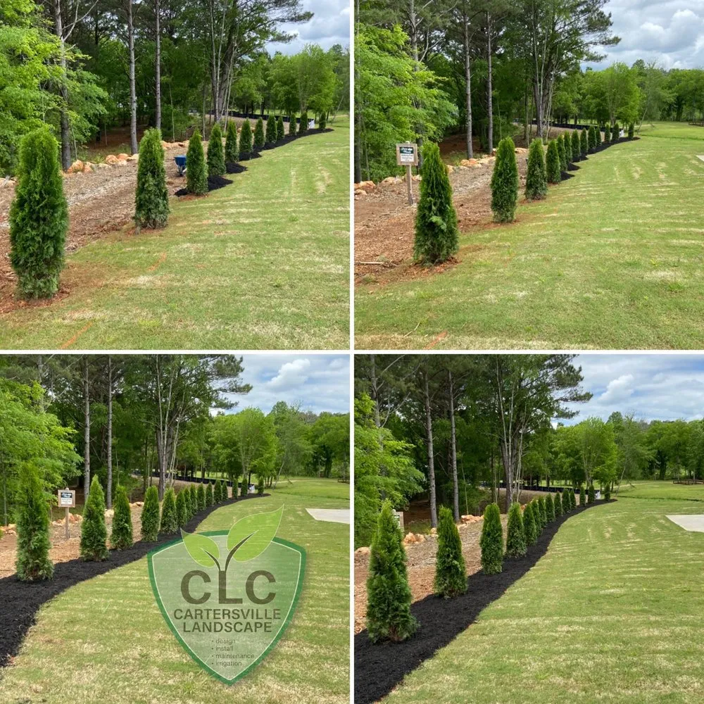Professional landscaping services in Cartersville, GA by Cartersville Landscape Company