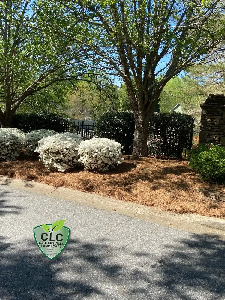 Affordable outdoor landscaping for homes in Cartersville, GA by Cartersville Landscape Company