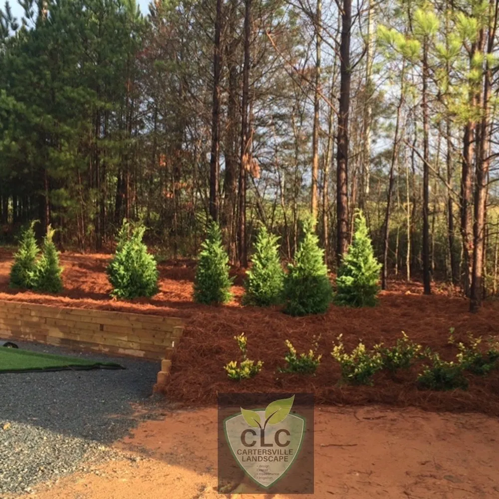 Top-rated yard maintenance for residential properties across Cartersville, GA - Cartersville Landscape Company