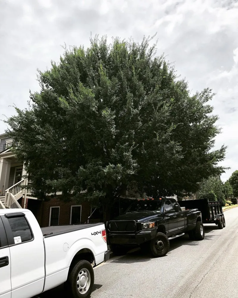 Top-rated outdoor landscaping experts serving Cartersville, GA - Cartersville Landscape Company