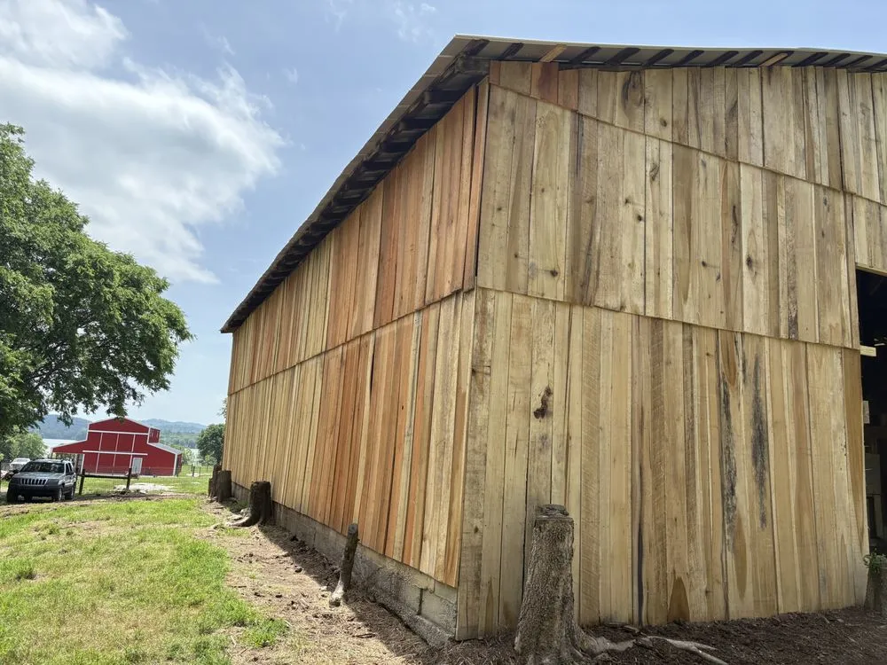 Top-rated yard cleanup service in Carthage, TN by Carthage Handyman Services