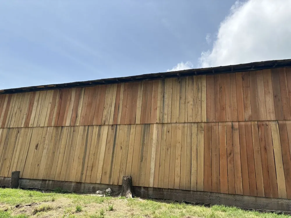 Top-rated lawn care service for beautiful yards across Carthage, TN - Carthage Handyman Services