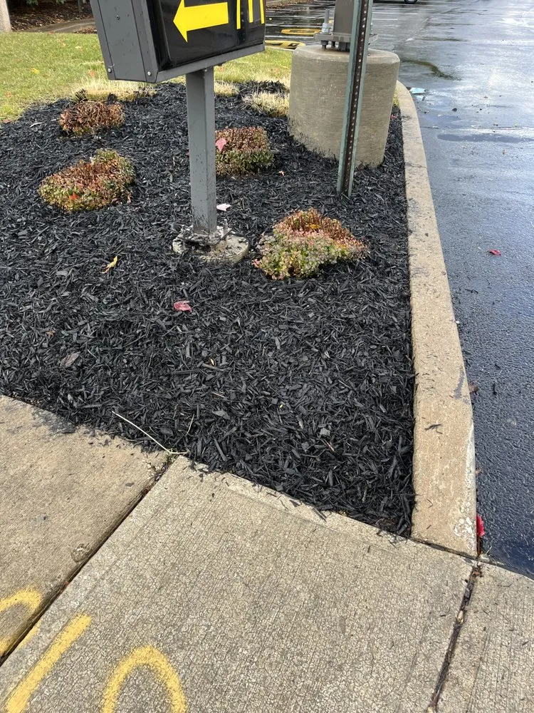 Top-rated landscape installation for outdoor upgrades across Shaker Heights, OH - Carthons Lawn Service