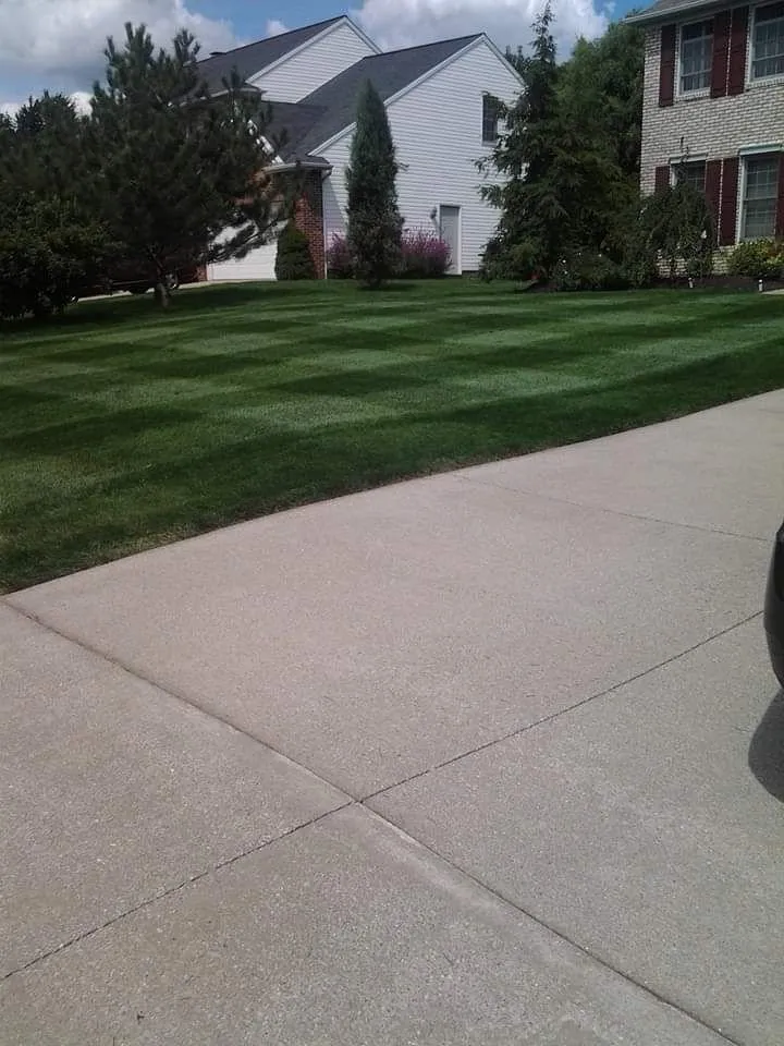 Professional yard cleanup service for year-round maintenance in Shaker Heights, OH by Carthons Lawn Service
