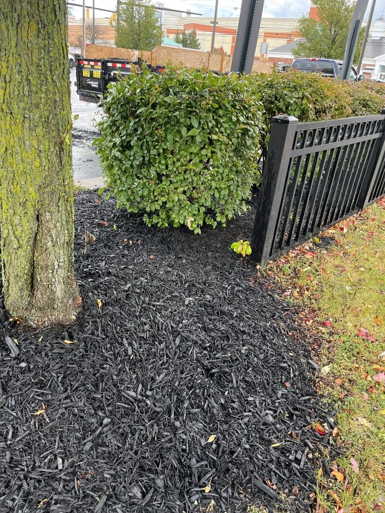 Affordable lawn care service experts serving Shaker Heights, OH - Carthons Lawn Service