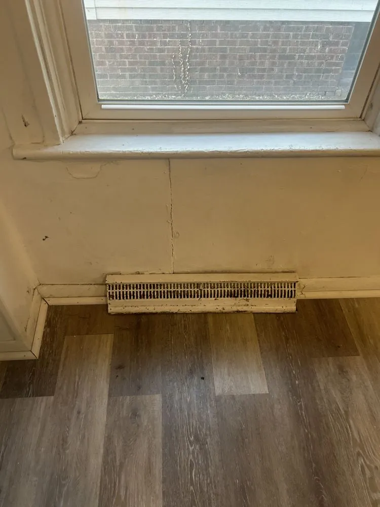 Affordable landscaping services for homes in Champaign, IL by Cartier Cleaning Service