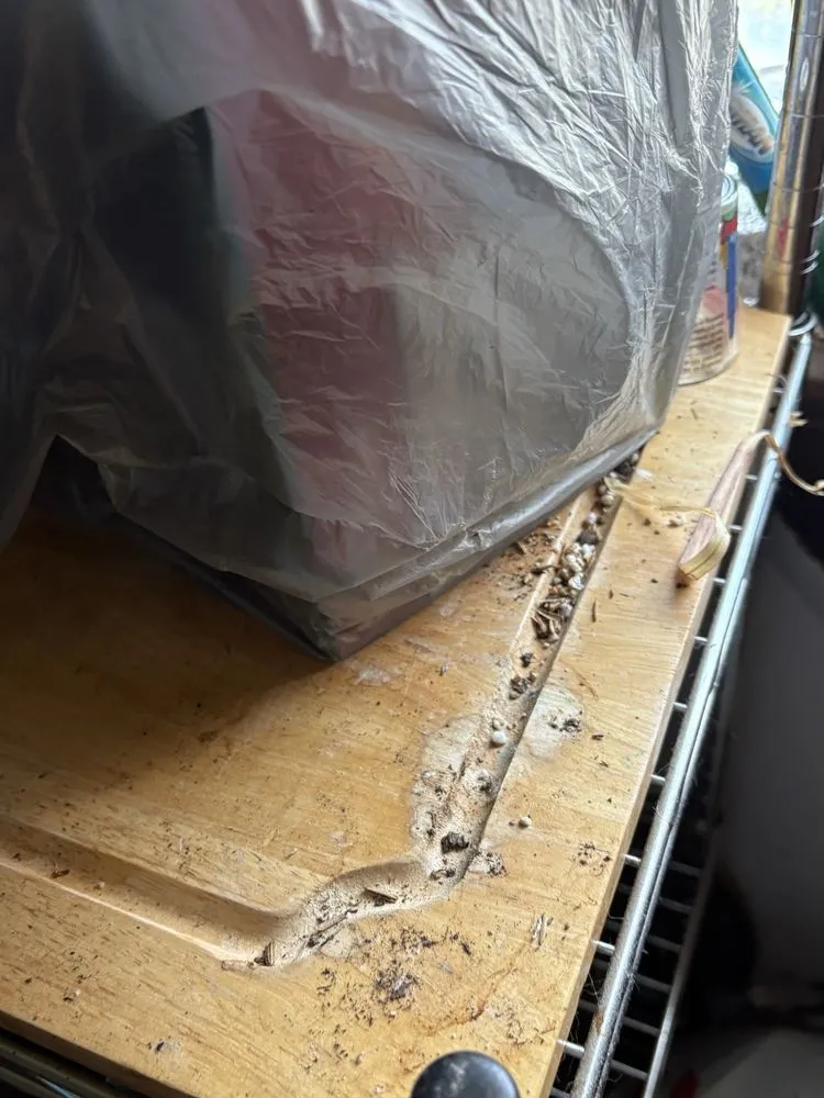 Local garden landscaping for outdoor upgrades across Champaign, IL - Cartier Cleaning Service