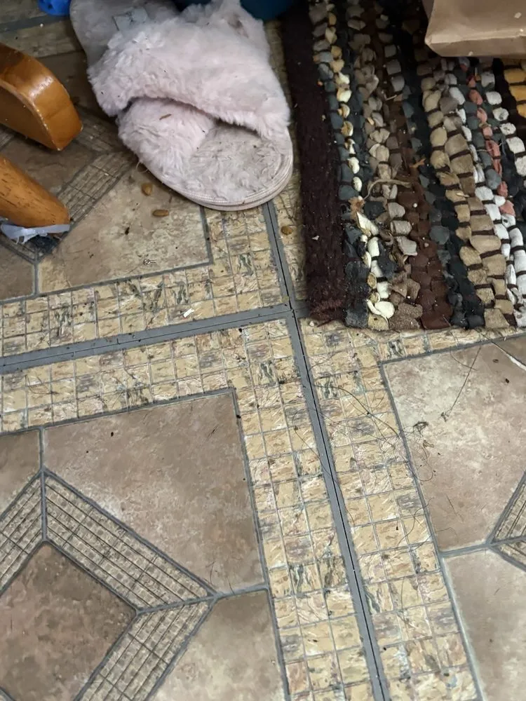 Expert yard maintenance for outdoor upgrades across Champaign, IL - Cartier Cleaning Service