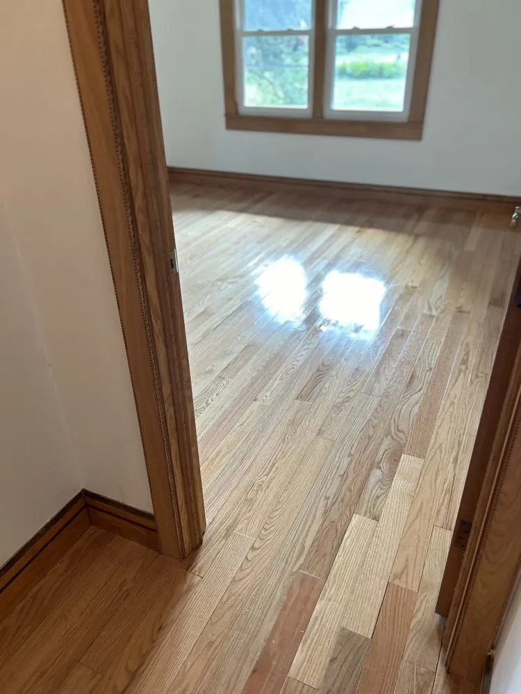 Reliable outdoor landscaping experts serving Champaign, IL - Cartier Cleaning Service