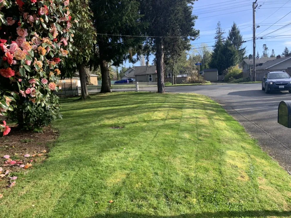Reliable garden landscaping experts serving Des Moines, WA - Cartwright Cutting