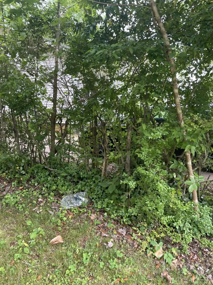 Professional residential landscaping with custom design across Huntsville, AL - Cartwright’s Landscape and Pressure Washing