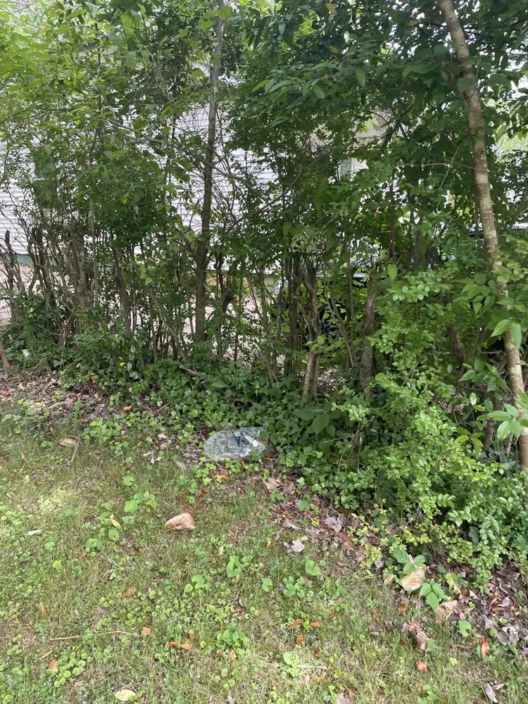 Trusted residential landscaping experts serving Huntsville, AL - Cartwright’s Landscape and Pressure Washing