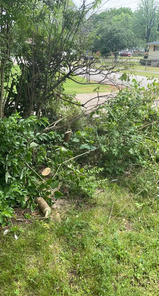 Trusted landscape design near you in Huntsville, AL by Cartwright’s Landscape and Pressure Washing