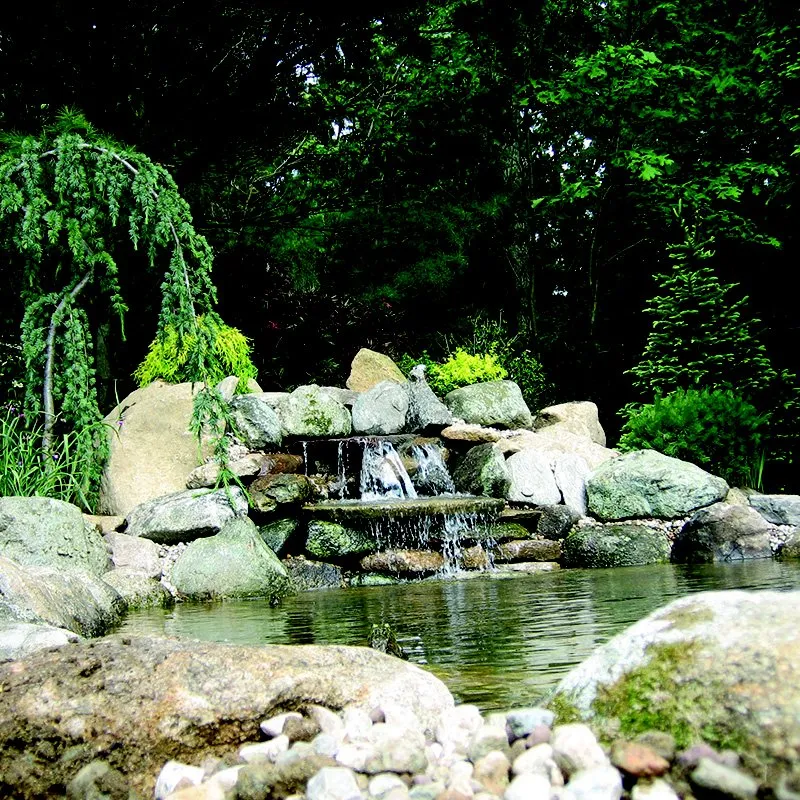 Affordable landscaping services experts serving Braintree, MA - Caruso Landscape Design