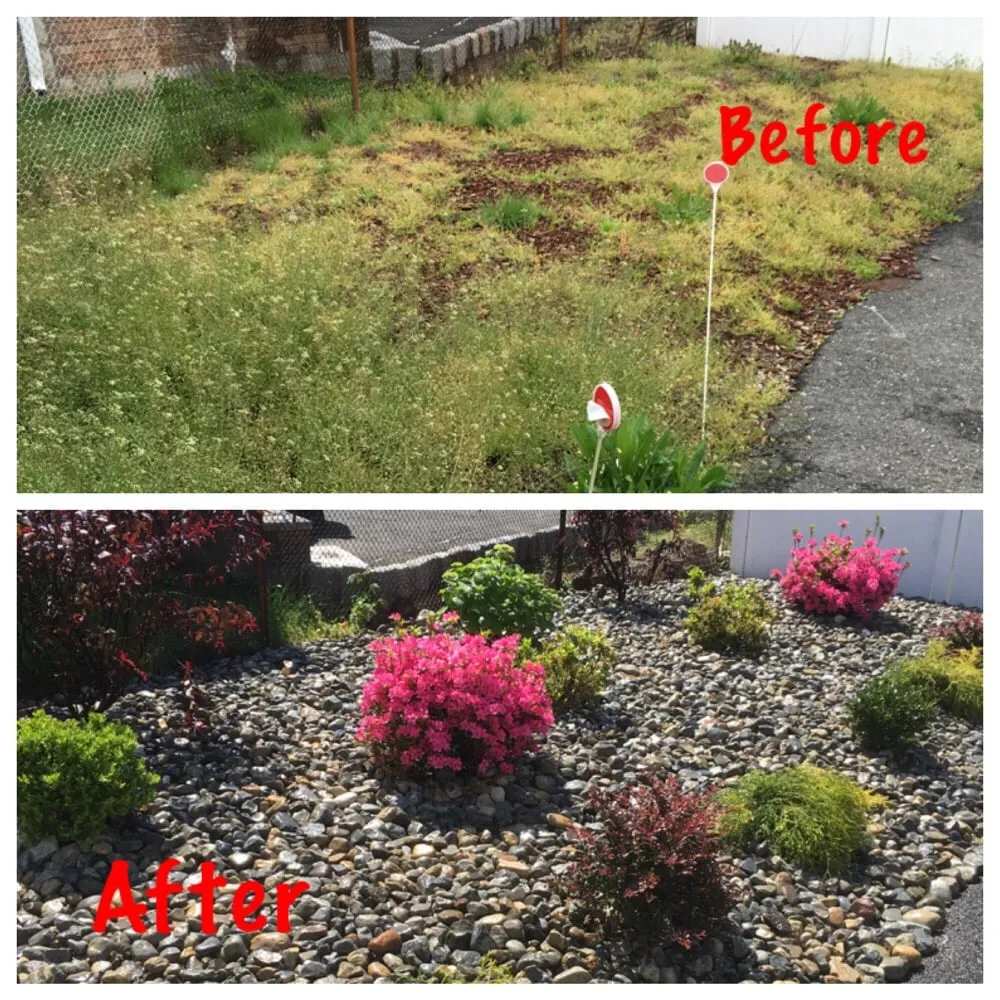 Affordable landscaping services experts serving Bloomfield, NJ - Caruso Property Services