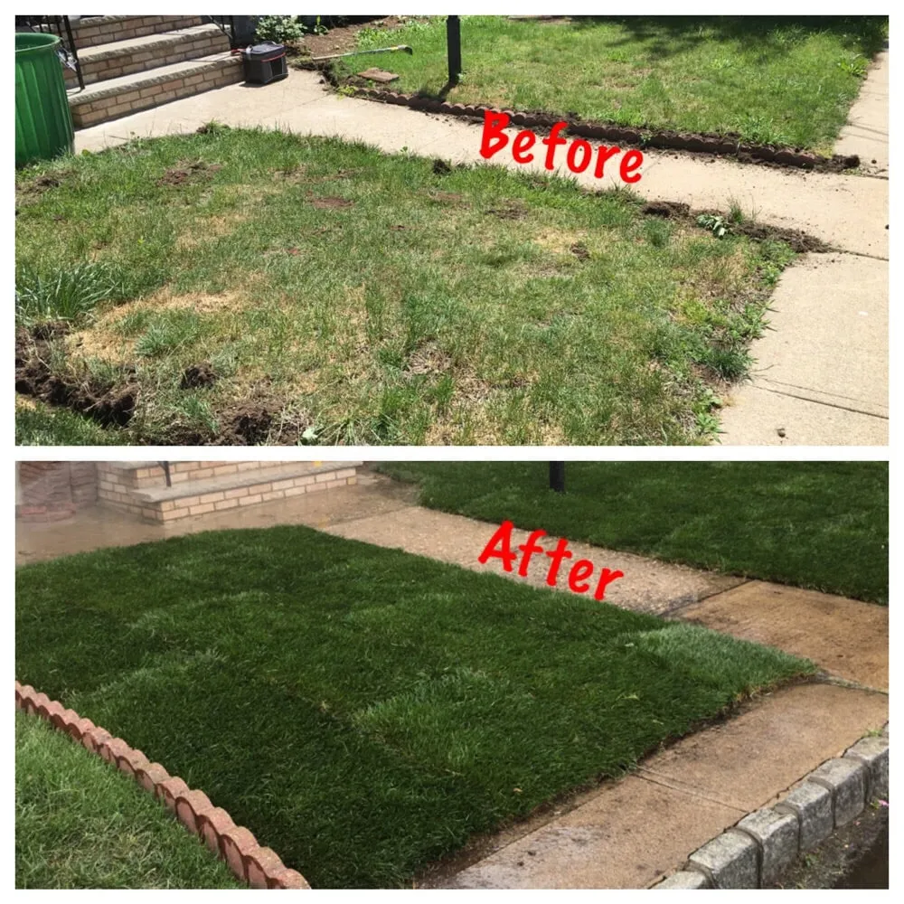 Top-rated landscape installation in Bloomfield, NJ by Caruso Property Services