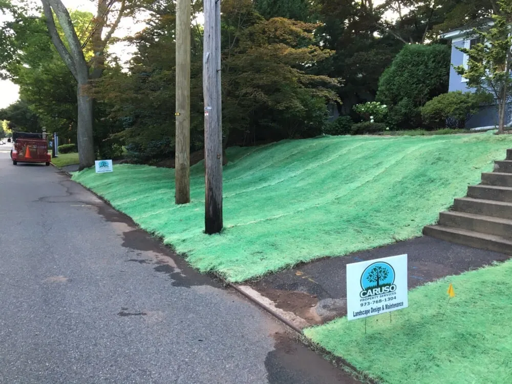 Top-rated landscape design in Bloomfield, NJ by Caruso Property Services