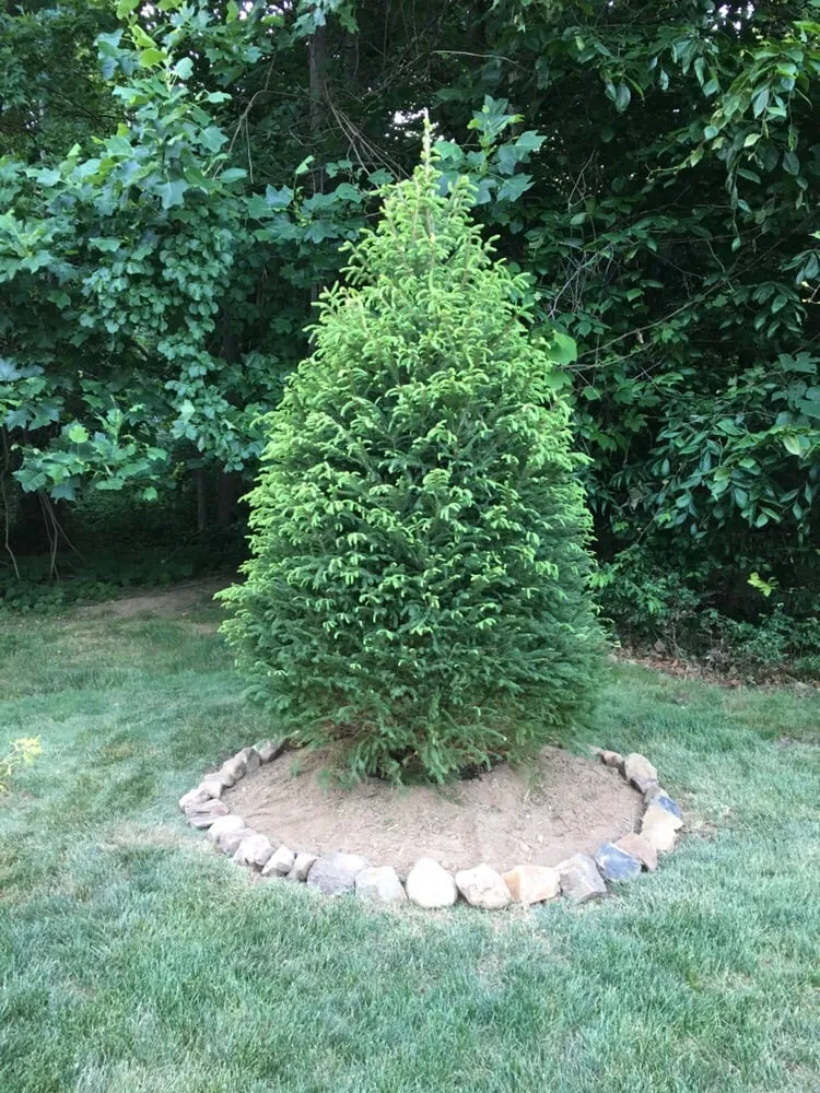 Professional garden landscaping experts serving Bloomfield, NJ - Caruso Property Services