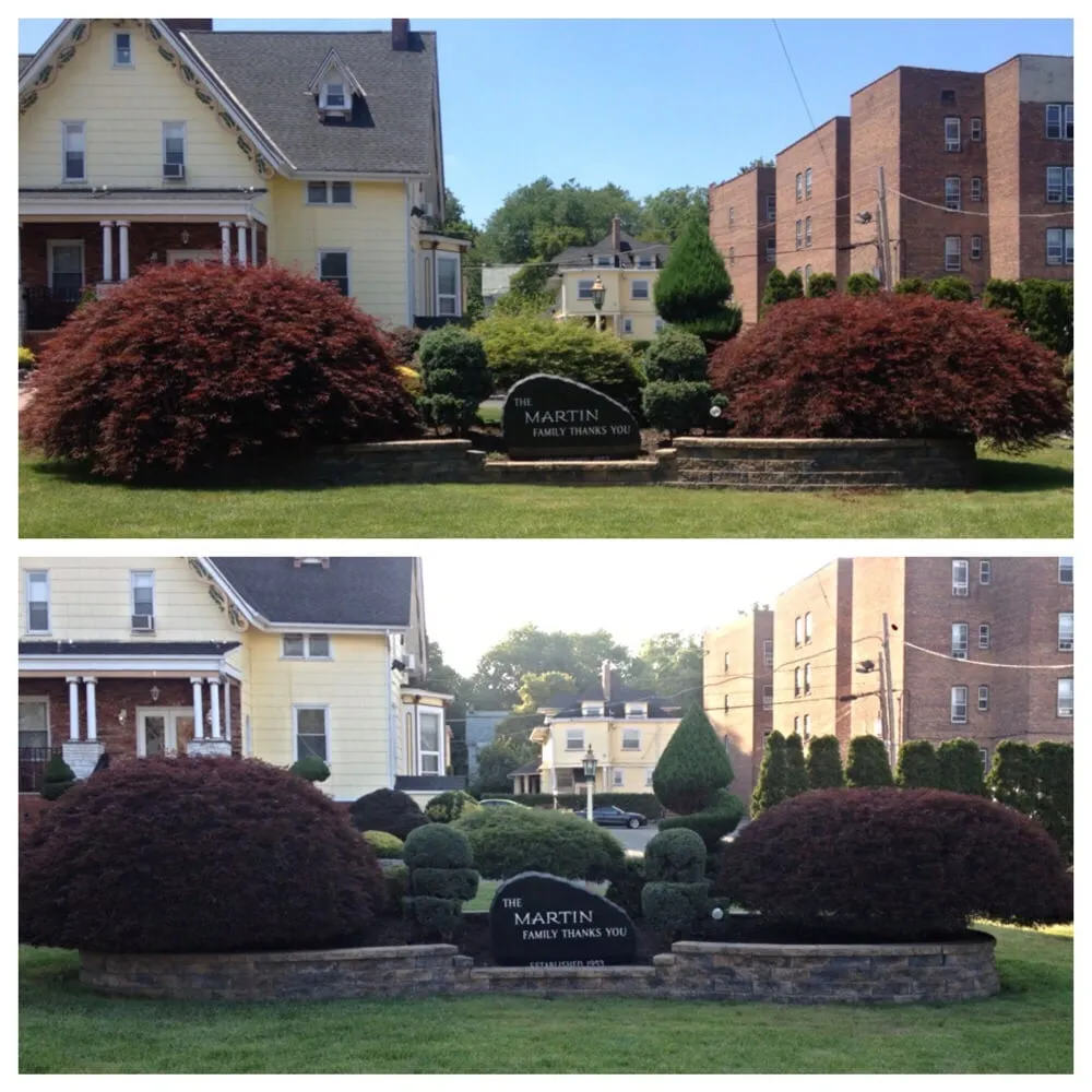 Custom yard cleanup service in Bloomfield, NJ by Caruso Property Services