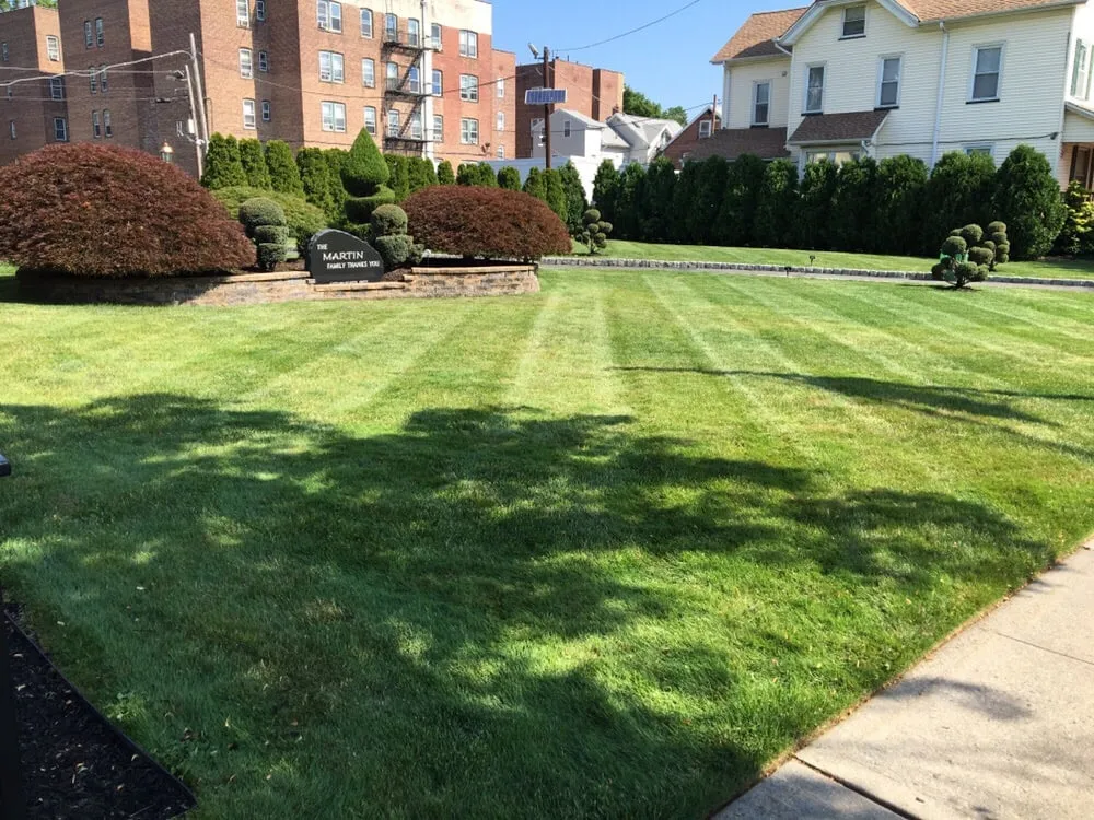 Expert lawn care service experts serving Bloomfield, NJ - Caruso Property Services