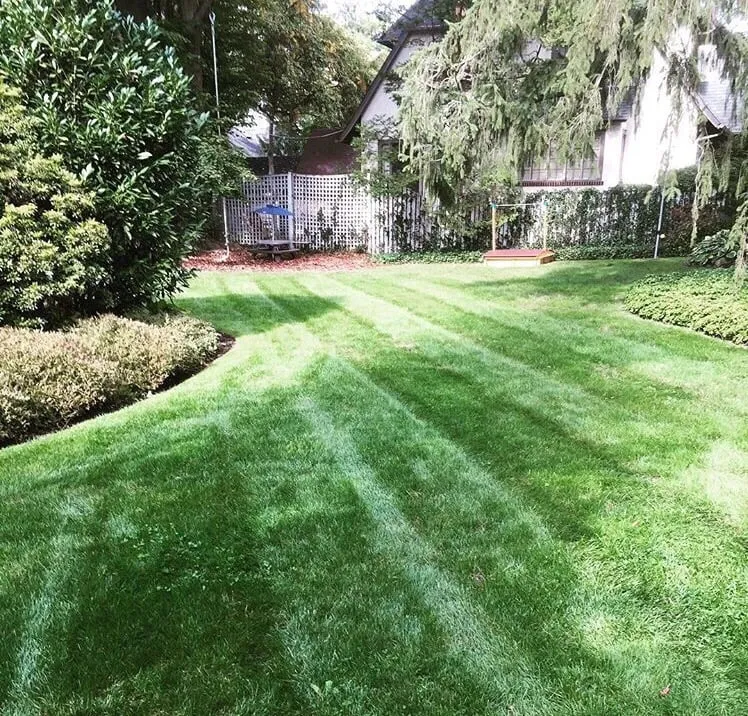 Professional yard cleanup service for year-round maintenance across Bloomfield, NJ - Caruso Property Services