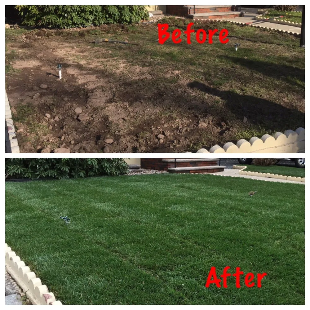 Local landscape design in Bloomfield, NJ by Caruso Property Services