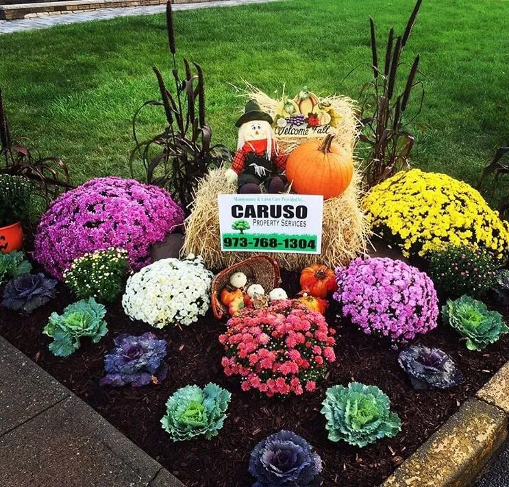 Professional lawn mowing service in Bloomfield, NJ - Caruso Property Services