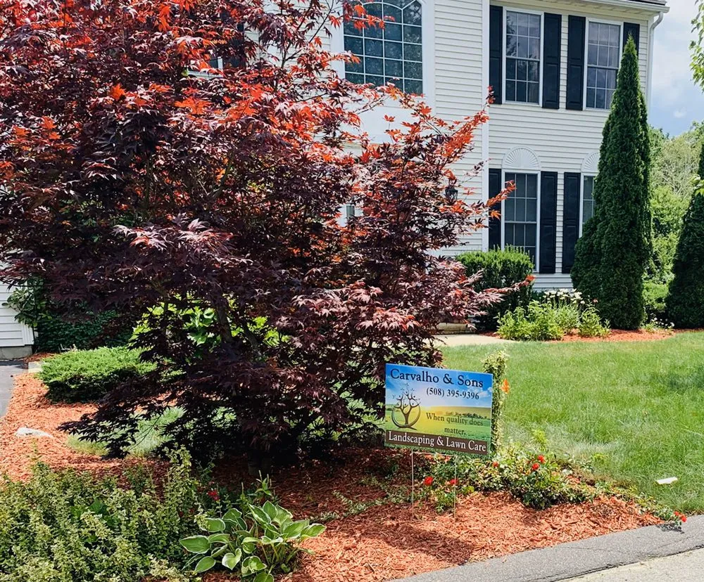 Professional yard maintenance in Marlborough, MA - Carvalho & Sons