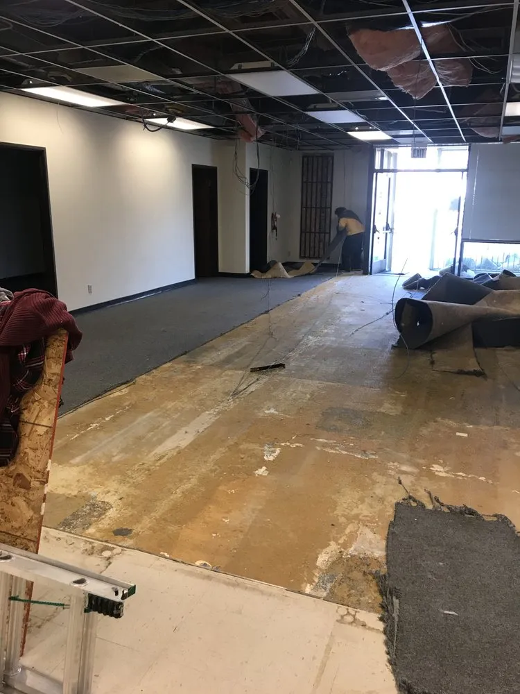 Custom yard cleanup service in San Bruno, CA - Carvalho Hauling Landscaping