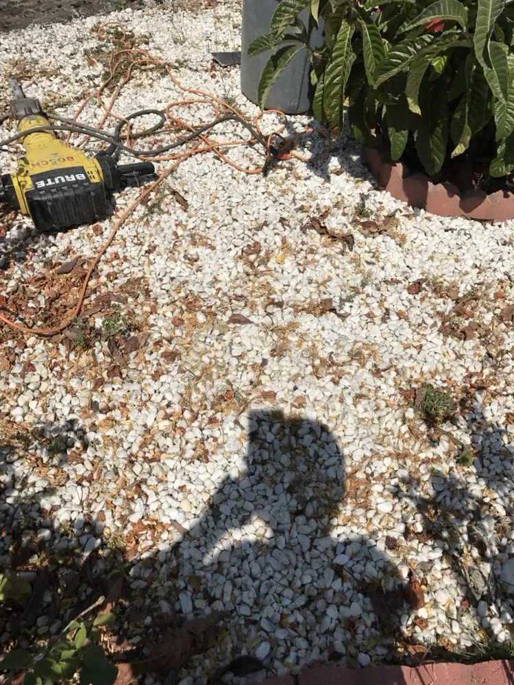 Local landscaping services in San Bruno, CA - Carvalho Hauling Landscaping