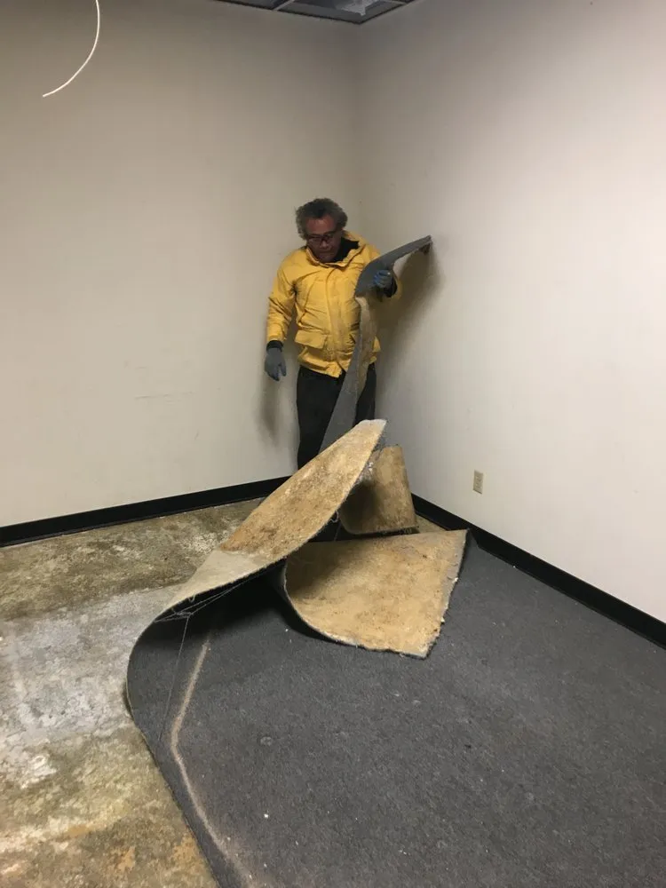 Expert outdoor landscaping for residential properties in San Bruno, CA by Carvalho Hauling Landscaping