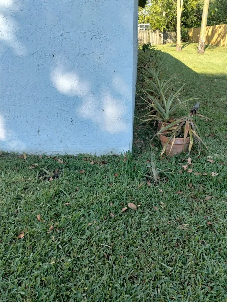 Trusted yard cleanup service in Coconut Creek, FL - Carvalho’s Landscaping