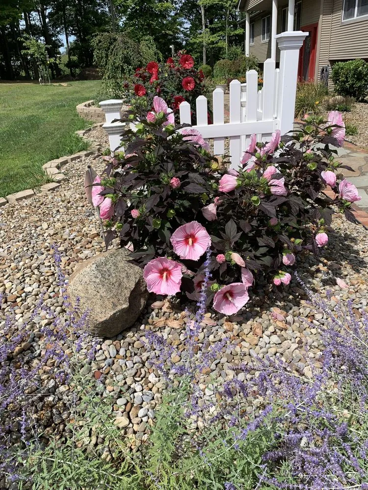 Affordable lawn mowing service for year-round maintenance across New Springfield, OH - Carver’s Drainage & Landscape Solutions